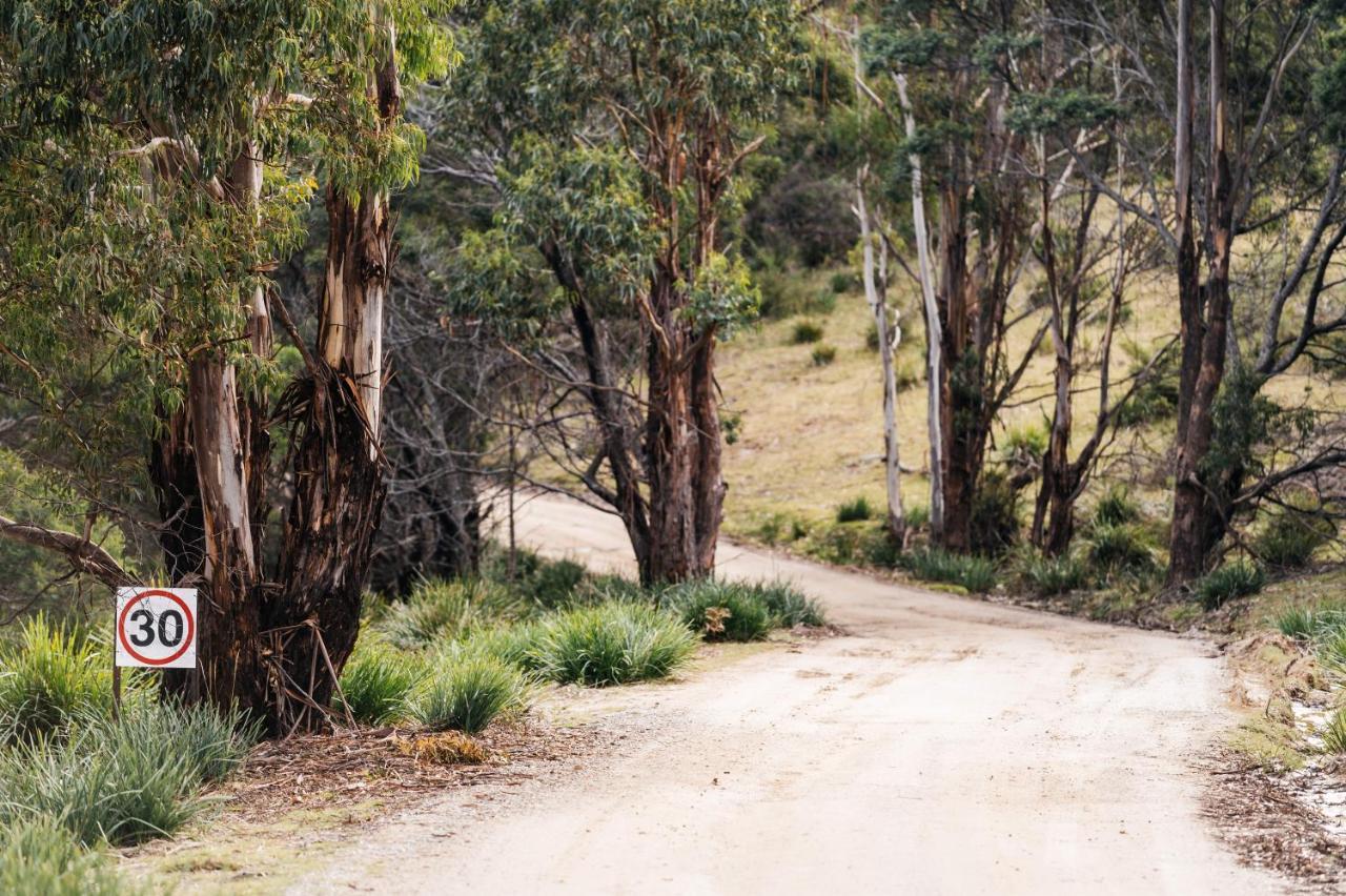 Freycinet Resort コールズ・ベイ エクステリア 写真